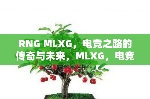 电竞传奇的荣耀与未来之路图片