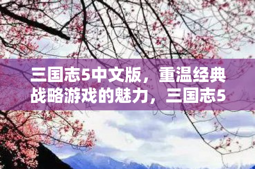 三国志5中文版,重温经典战略游戏的魅力,三国志5中文版,重温经典战略游戏的魅力 三国志5中文版,重温经典战略游戏的魅力,三国志5中文版,重温经典战略游戏的魅力