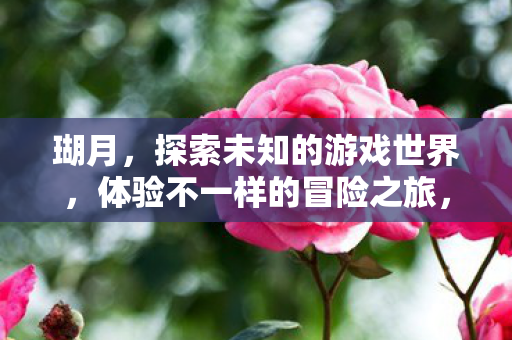 体验不一样的冒险之旅图片