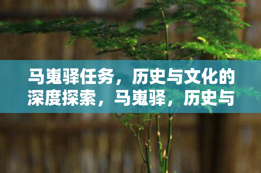 历史与文化的深度探索之旅图片
