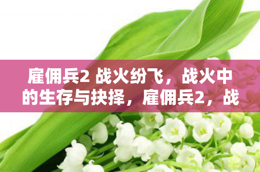 雇佣兵2 战火纷飞,战火中的生存与抉择,雇佣兵2,战火中的生存与抉择 雇佣兵2 战火纷飞,战火中的生存与抉择,雇佣兵2,战火中的生存与抉择