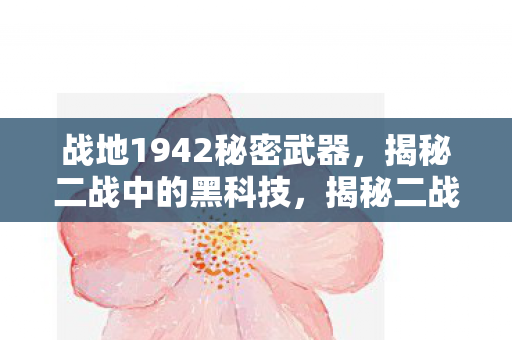 战地1942秘密武器,揭秘二战中的黑科技,揭秘二战黑科技,战地1942中的秘密武器 战地1942秘密武器,揭秘二战中的黑科技,揭秘二战黑科技,战地1942中的秘密武器