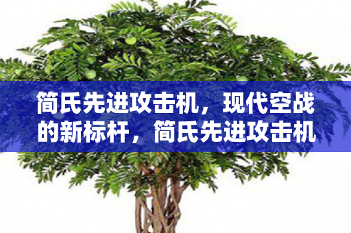 简氏先进攻击机,现代空战的新标杆,简氏先进攻击机,现代空战新标杆 简氏先进攻击机,现代空战的新标杆,简氏先进攻击机,现代空战新标杆