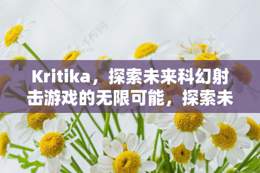 Kritika,探索未来科幻射击游戏的无限可能,探索未来科幻射击游戏的无限可能,Kritika Kritika,探索未来科幻射击游戏的无限可能,探索未来科幻射击游戏的无限可能,Kritika