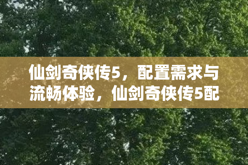 仙剑奇侠传5配置需求与流畅体验全解析图片
