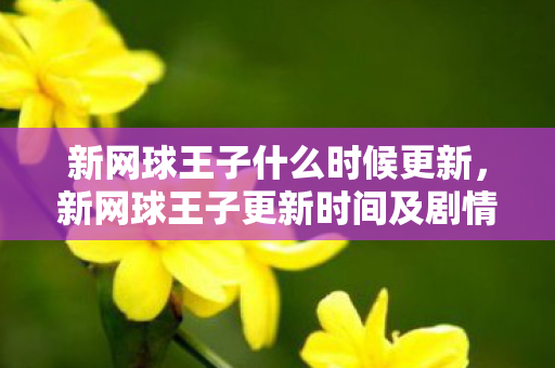 新网球王子更新时间及剧情分析图片