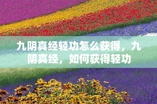 九阴真经轻功怎么获得图片