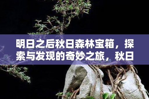 明日之后秋日森林宝箱图片