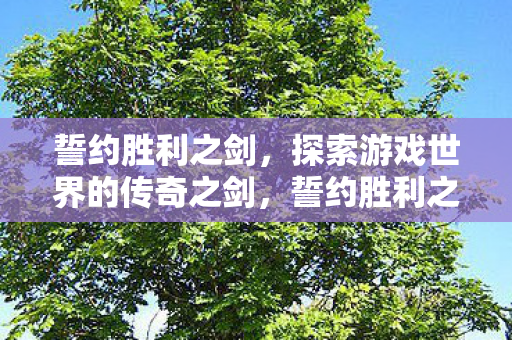 誓约胜利之剑,探索游戏世界的传奇之剑,誓约胜利之剑,游戏世界中的传奇之剑 誓约胜利之剑,探索游戏世界的传奇之剑,誓约胜利之剑,游戏世界中的传奇之剑