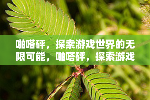 啪嗒砰,探索游戏世界的无限可能,啪嗒砰,探索游戏世界的无限可能 啪嗒砰,探索游戏世界的无限可能,啪嗒砰,探索游戏世界的无限可能