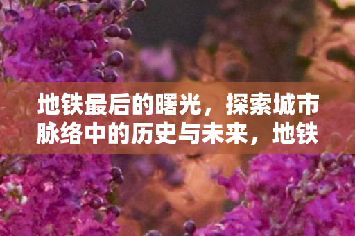 地铁最后的曙光,探索城市脉络中的历史与未来,地铁最后的曙光,探索城市脉络中的历史与未来 地铁最后的曙光,探索城市脉络中的历史与未来,地铁最后的曙光,探索城市脉络中的历史与未来