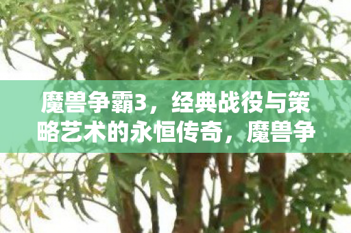 魔兽争霸3,经典战役与策略艺术的永恒传奇,魔兽争霸3,经典战役与策略艺术的永恒传奇 魔兽争霸3,经典战役与策略艺术的永恒传奇,魔兽争霸3,经典战役与策略艺术的永恒传奇