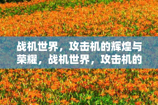 战机世界，攻击机的辉煌与荣耀，战机世界，攻击机的辉煌与荣耀