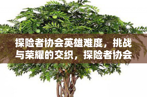 探险者协会英雄难度图片