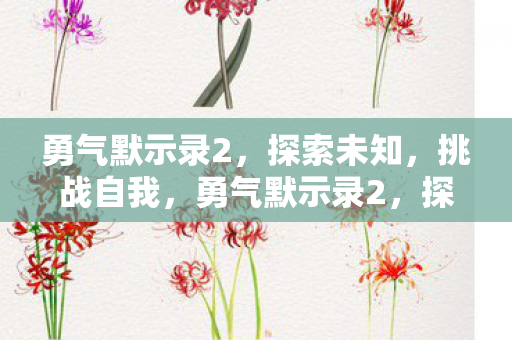 勇气默示录2,探索未知,挑战自我,勇气默示录2,探索未知,挑战自我,勇者的传奇之旅 勇气默示录2,探索未知,挑战自我,勇气默示录2,探索未知,挑战自我,勇者的传奇之旅
