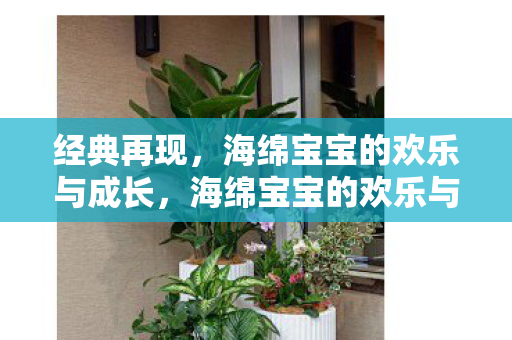 经典再现,海绵宝宝的欢乐与成长,海绵宝宝的欢乐与成长之旅 经典再现,海绵宝宝的欢乐与成长,海绵宝宝的欢乐与成长之旅