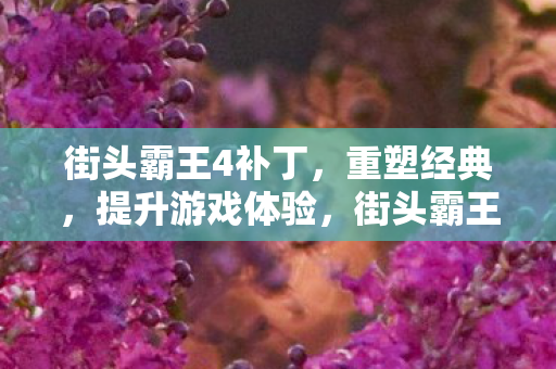 街头霸王4补丁重塑经典图片