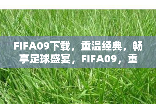 FIFA09下载图片
