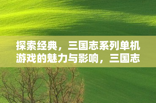 三国志系列单机游戏的魅力与影响图片