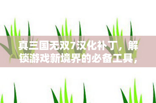 解锁游戏新境界的必备工具图片