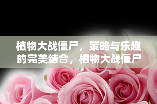 策略与乐趣的完美结合图片
