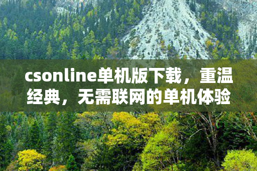 csonline单机版下载图片