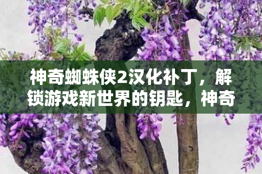 神奇蜘蛛侠2汉化补丁图片