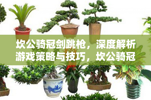 坎公骑冠剑跳枪策略深度解析图片