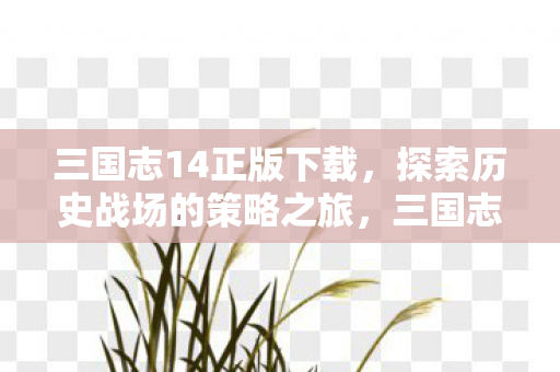 探索历史战场的策略之旅图片