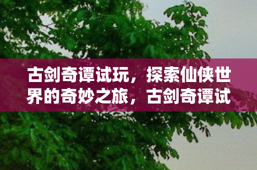 开启仙侠世界的奇妙冒险之旅图片