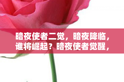谁将崛起于暗夜之中图片