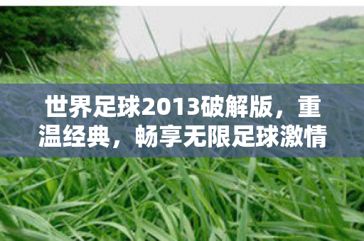 世界足球2013破解版图片
