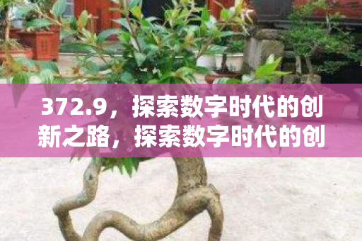 探索数字时代的创新之路图片