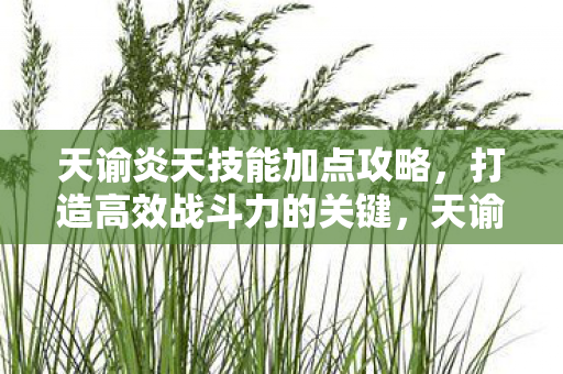 天谕炎天技能加点攻略图片