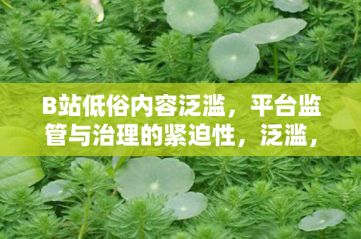 平台监管与治理的紧迫性图片