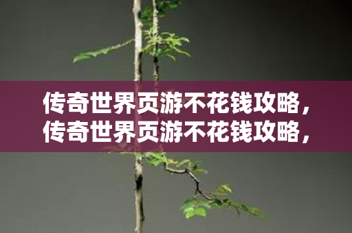 传奇世界页游不花钱攻略,传奇世界页游不花钱攻略,如何玩转游戏不花一分钱 传奇世界页游不花钱攻略,传奇世界页游不花钱攻略,如何玩转游戏不花一分钱
