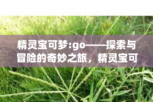 探索与冒险的奇妙之旅图片