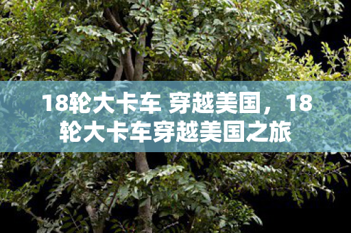 18轮大卡车穿越美国之旅图片