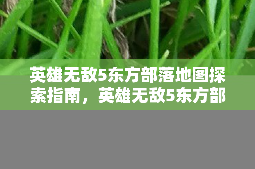 英雄无敌5东方部落地图探索全攻略图片