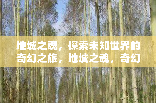 探索未知世界的奇幻之旅图片