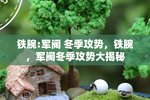 军阀冬季攻势大揭秘图片
