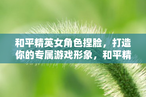 打造你的专属游戏形象图片