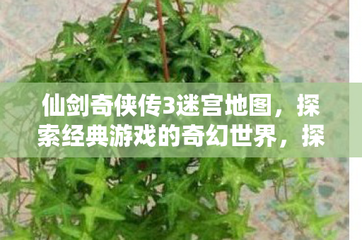 探索仙剑奇侠传3迷宫地图图片
