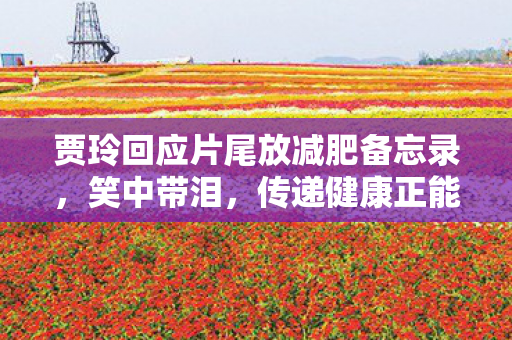 贾玲回应片尾放减肥备忘录图片