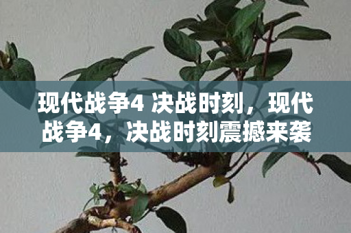 现代战争4 决战时刻图片
