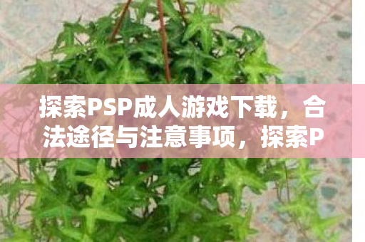 探索PSP成人游戏下载图片