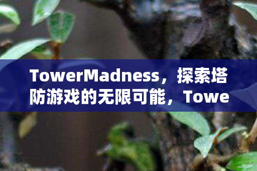 TowerMadness,探索塔防游戏的无限可能,TowerMadness,探索塔防游戏的无限可能 TowerMadness,探索塔防游戏的无限可能,TowerMadness,探索塔防游戏的无限可能