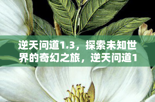 探索未知世界的奇幻冒险之旅图片