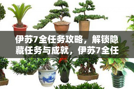 解锁隐藏任务与成就全解析图片