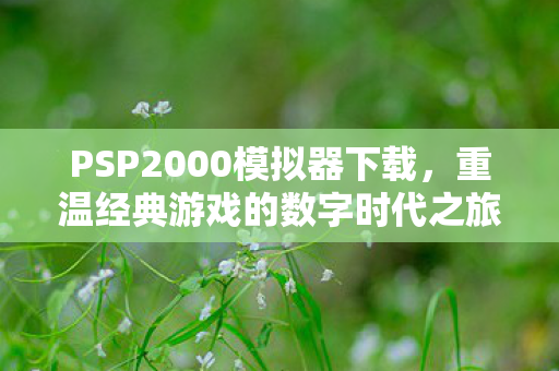 重温经典游戏的数字时代之旅图片